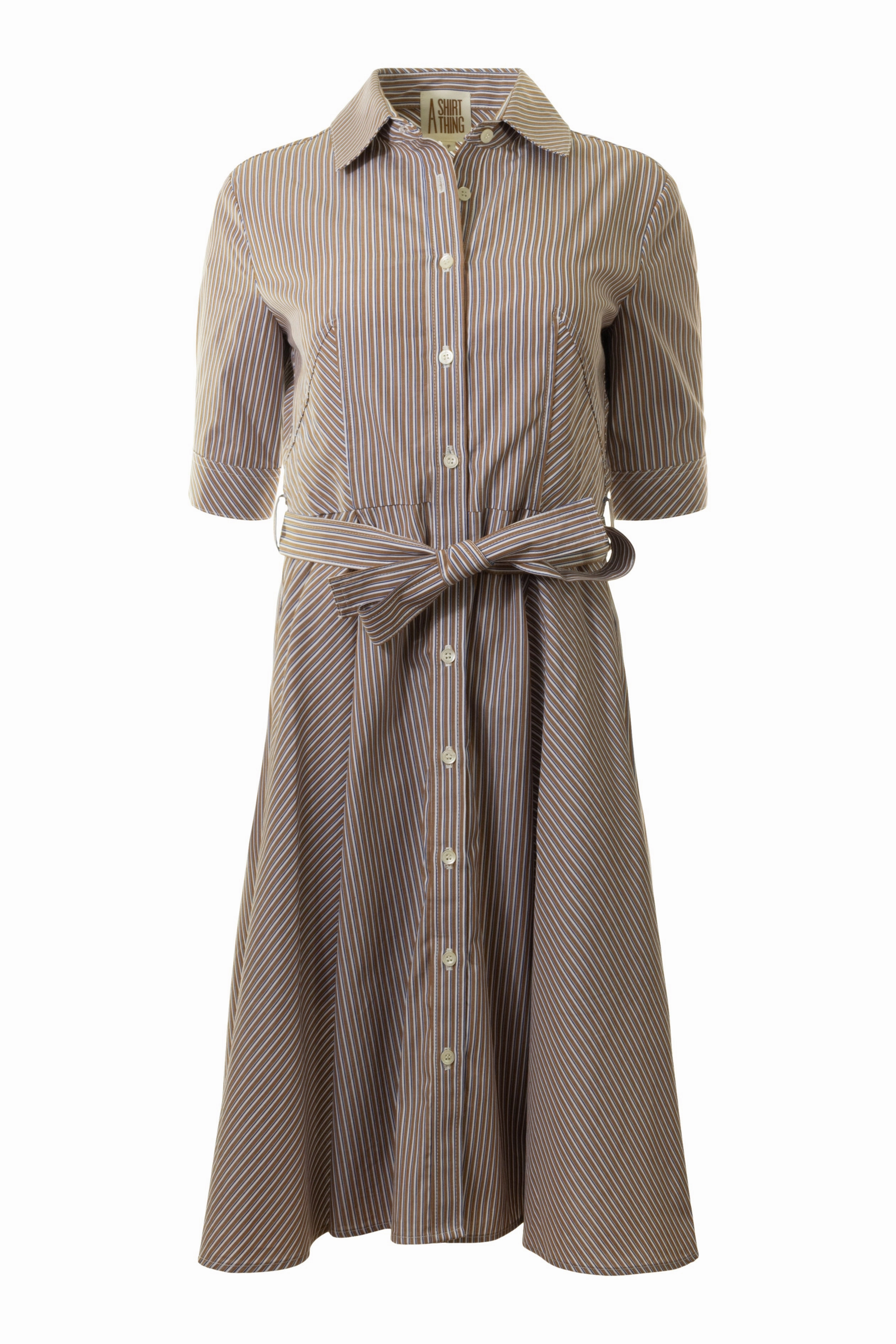 A Shirt Thing Suzanne Dress in Stripe 01 Contrasting Detail Confident Touch