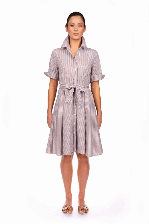 Vibrant Colors A Shirt Thing Suzanne Dress in Stripe 01