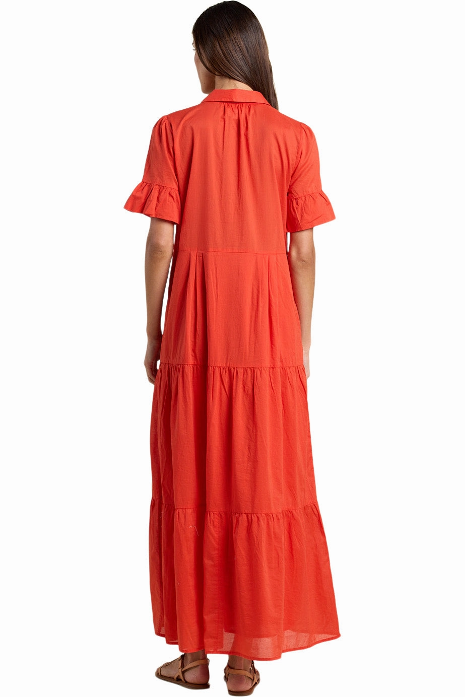 Grace Glow Sophisticated Waist Trovata Birds of Paradis Martine Dress in Tomato