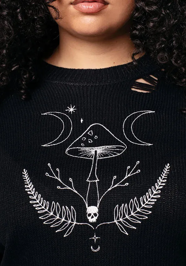 Russula | JUMPER Loose Tee